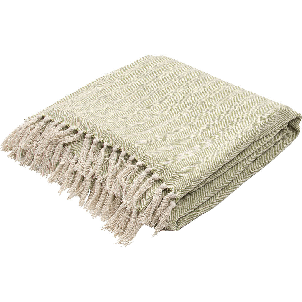 Seabreeze Iguana/Birch Throw