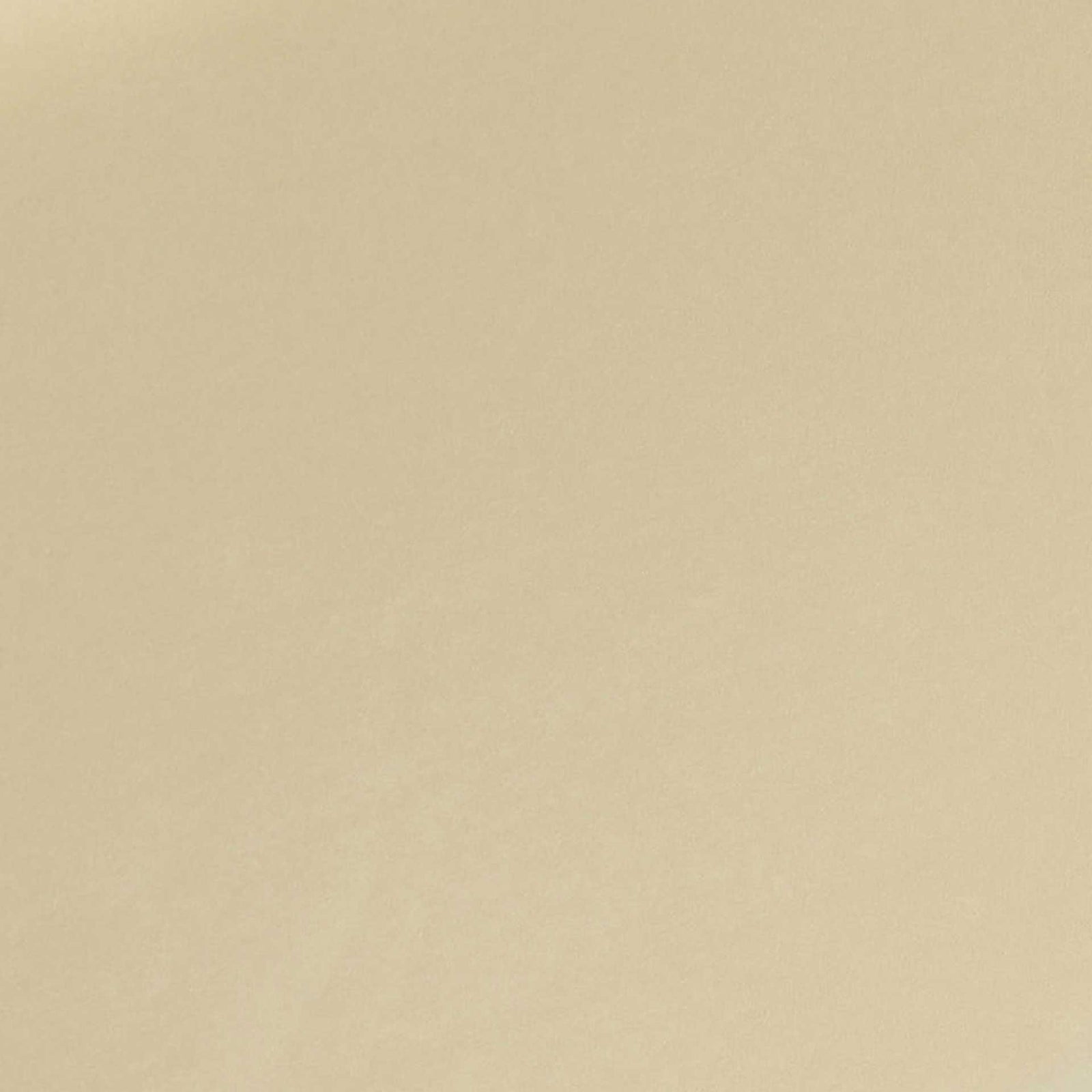 Zion Velvet Storage Bench Cream