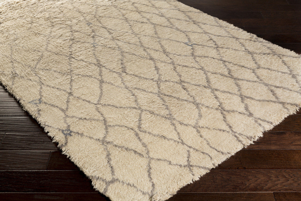 Denali Gray/Beige Area Rug