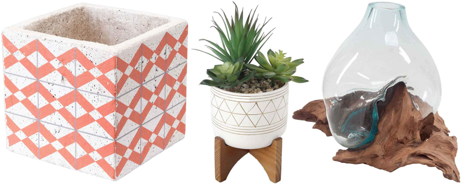 Plants &amp; Terrariums