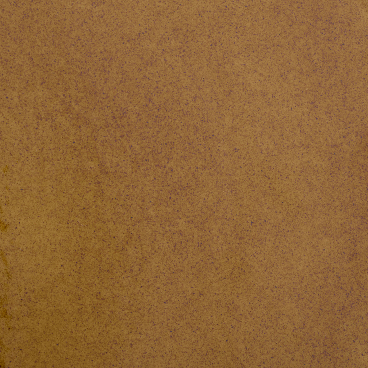 Earthy ginger glaze reveals fine dark speckles and subtle color variation || ACS4610A || swatch_studio