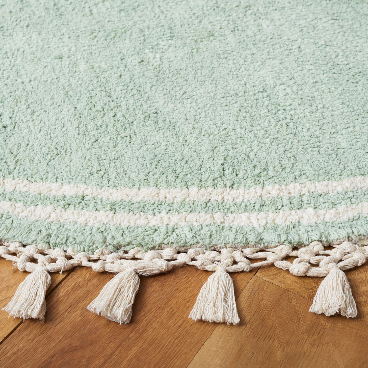 Plush pile and braided tassel border showcase the rug's soft texture and craftsmanship. || ECR201J-6R || detail_room