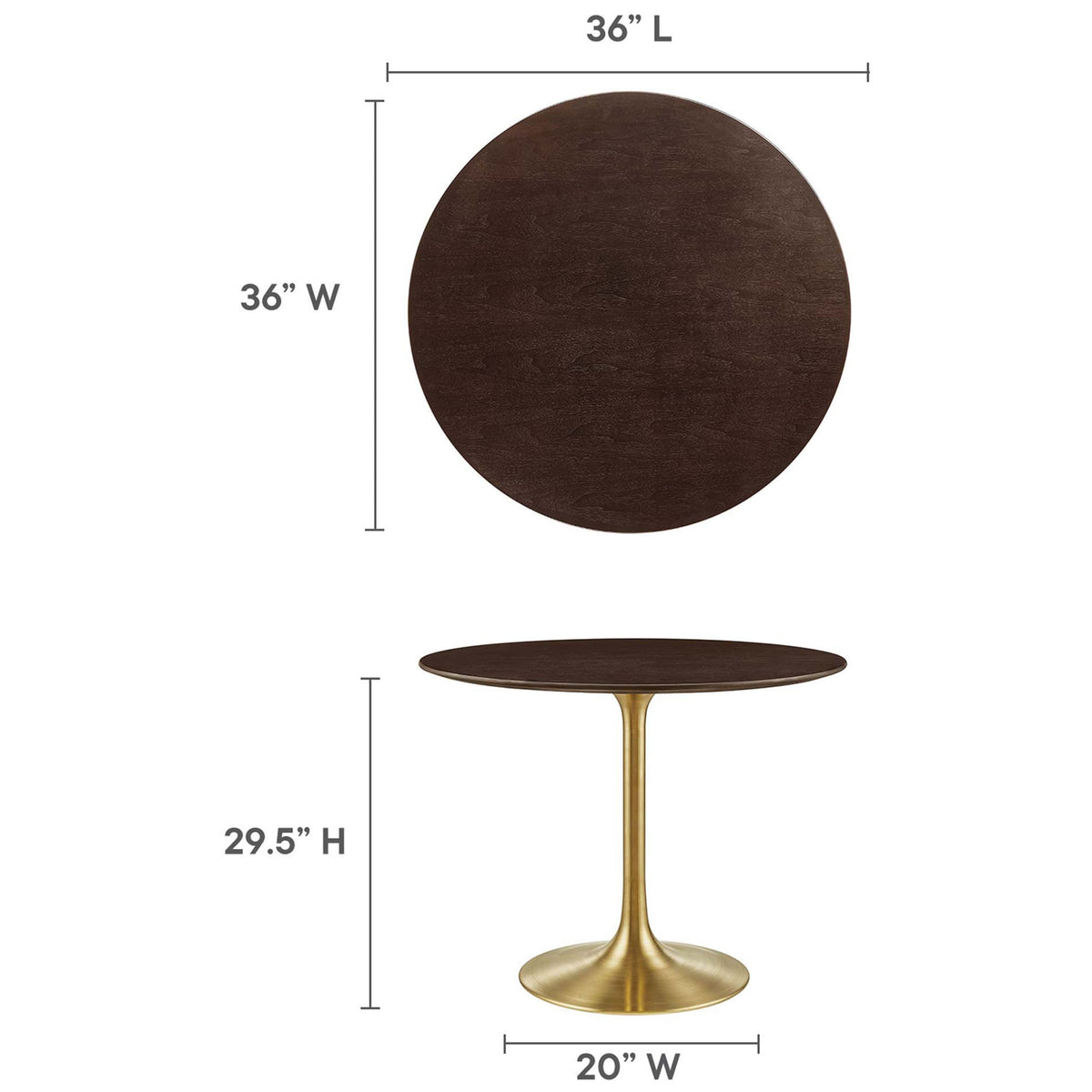 Sizing overview of 36 inch round pedestal table showing balanced proportions and comfortable height || EEI-5214-GLD-CHE || dimension_studio