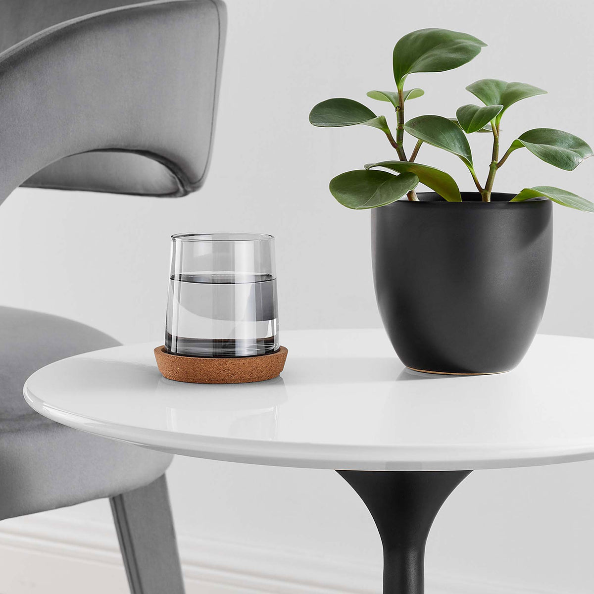 Close-up of glossy white tabletop with beveled edge styled with drink and plant || EEI-5688-BLK-WHI || detail_room