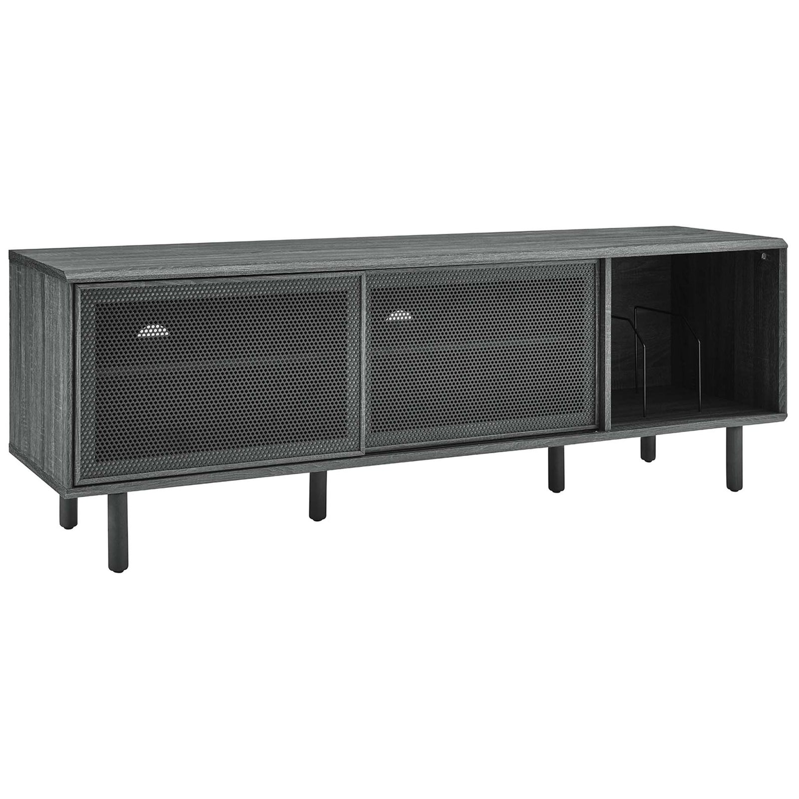 Kurtis 67 in charcoal TV and record stand with dual mesh doors and open vinyl display section || EEI-6236-CHA || front_angle_studio