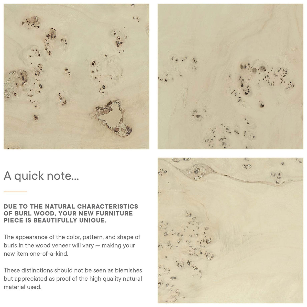 Material guide explaining natural variations in burl wood color and pattern with close up veneer panels || EEI-6271-BLB || callout_studio