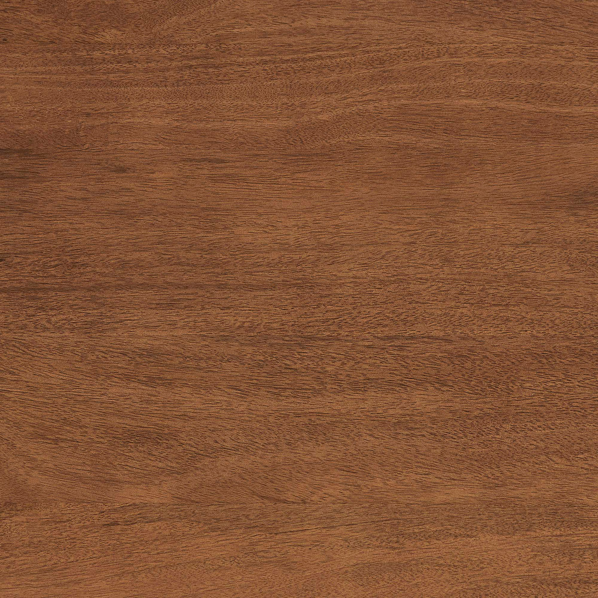 Warm brown mango wood finish with subtle tonal variation across the Amistad tabletop || EEI-6339-WAL || swatch_studio