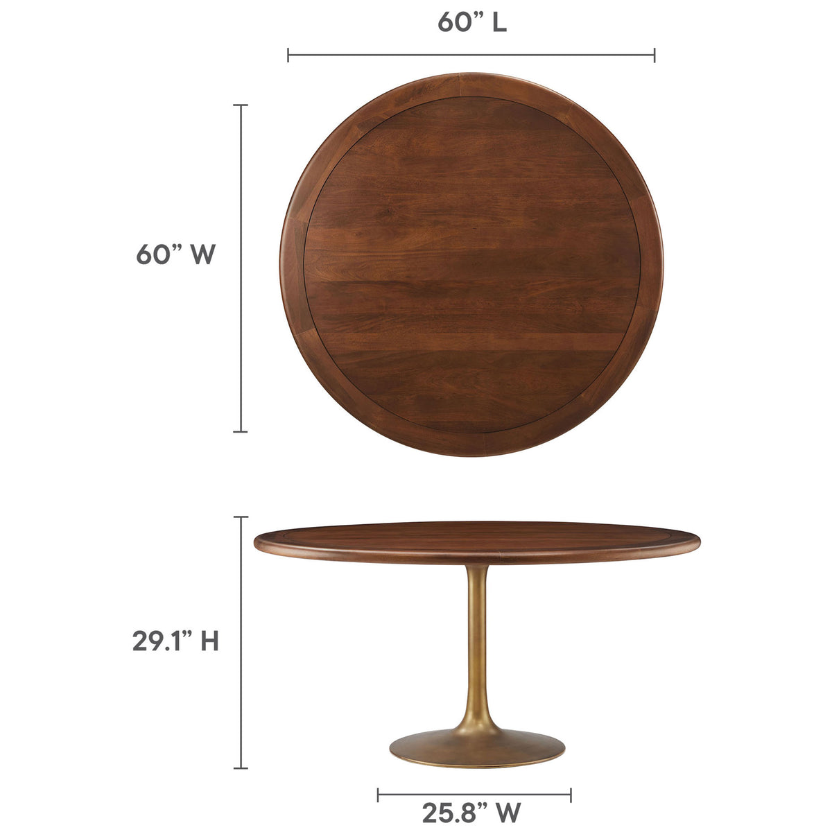 Dimensional diagram of the 60 inch round walnut pedestal dining table with labeled height and generous tabletop width || EEI-7071-BRA-WAL || dimension_studio