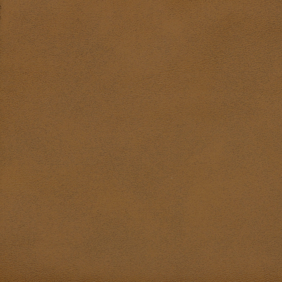 Smooth camel vegan leather upholstery with a softly textured, matte finish || EEI-7129-CAM || swatch_studio