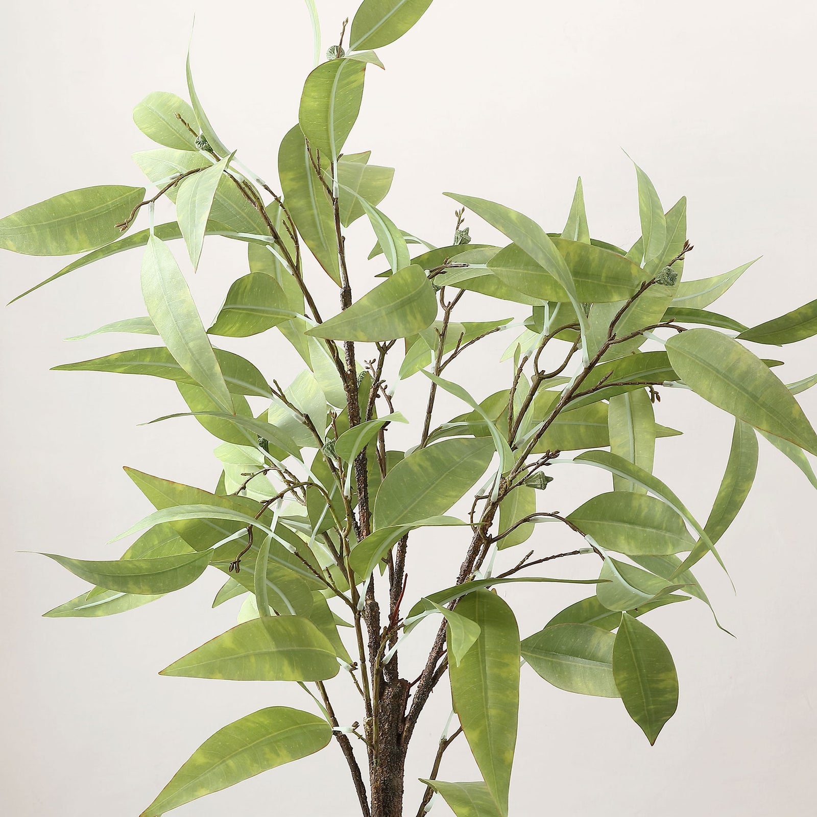 Slim eucalyptus leaves fan out from natural-looking branching stems. || FXP1000A || detail_studio