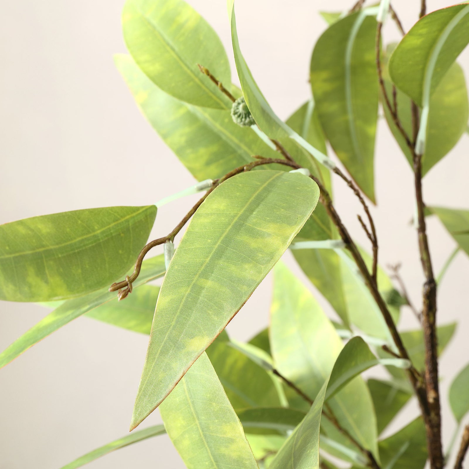Light green eucalyptus foliage has soft veining and narrow tips. || FXP1000A || detail_studio
