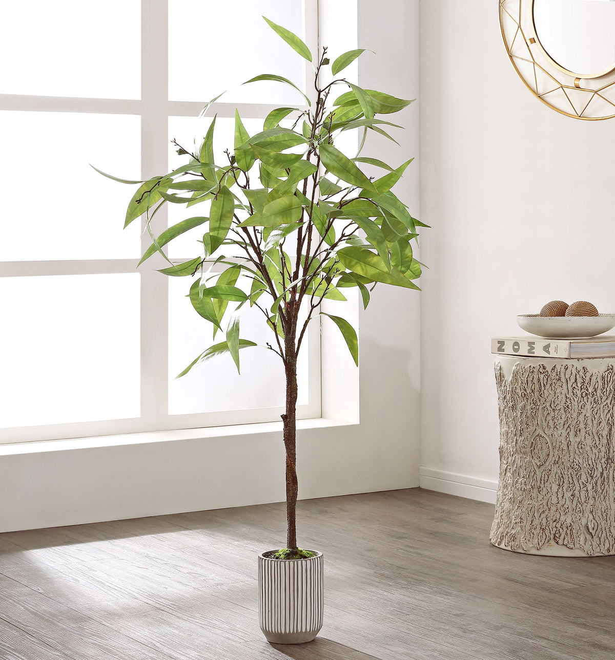 An airy eucalyptus tree brings gentle greenery to a bright corner. || FXP1000A || front_room