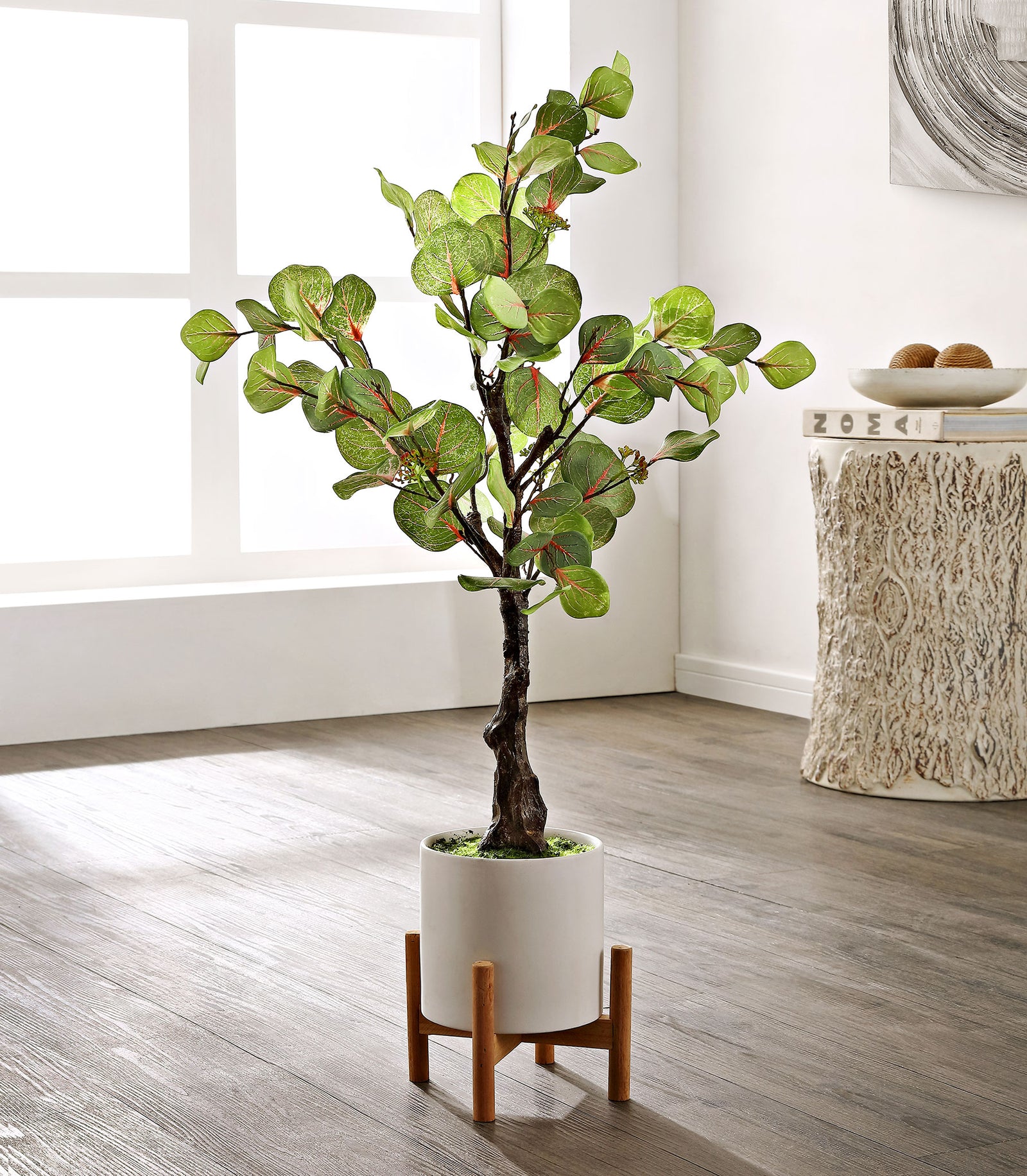 A leafy tree in a raised white planter adds gentle color to a bright room. || FXP1001A || front_room