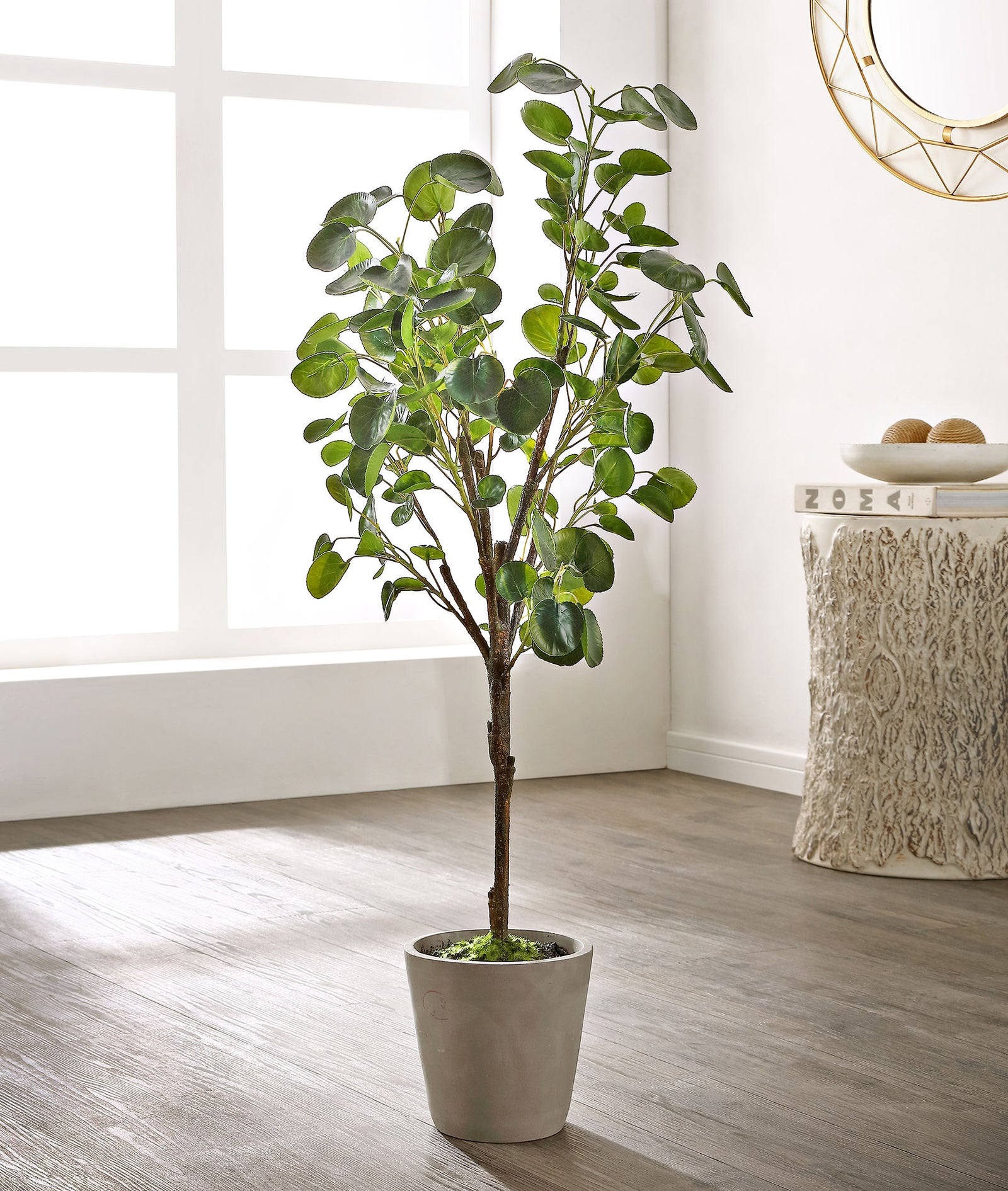 A rounded green canopy brings natural color to a bright room. || FXP1002A || front_room