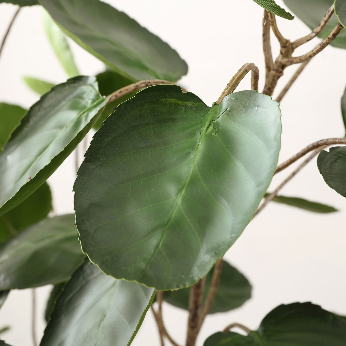 A broad dark green leaf has soft veining and natural-looking edges. || FXP1003A || detail_studio