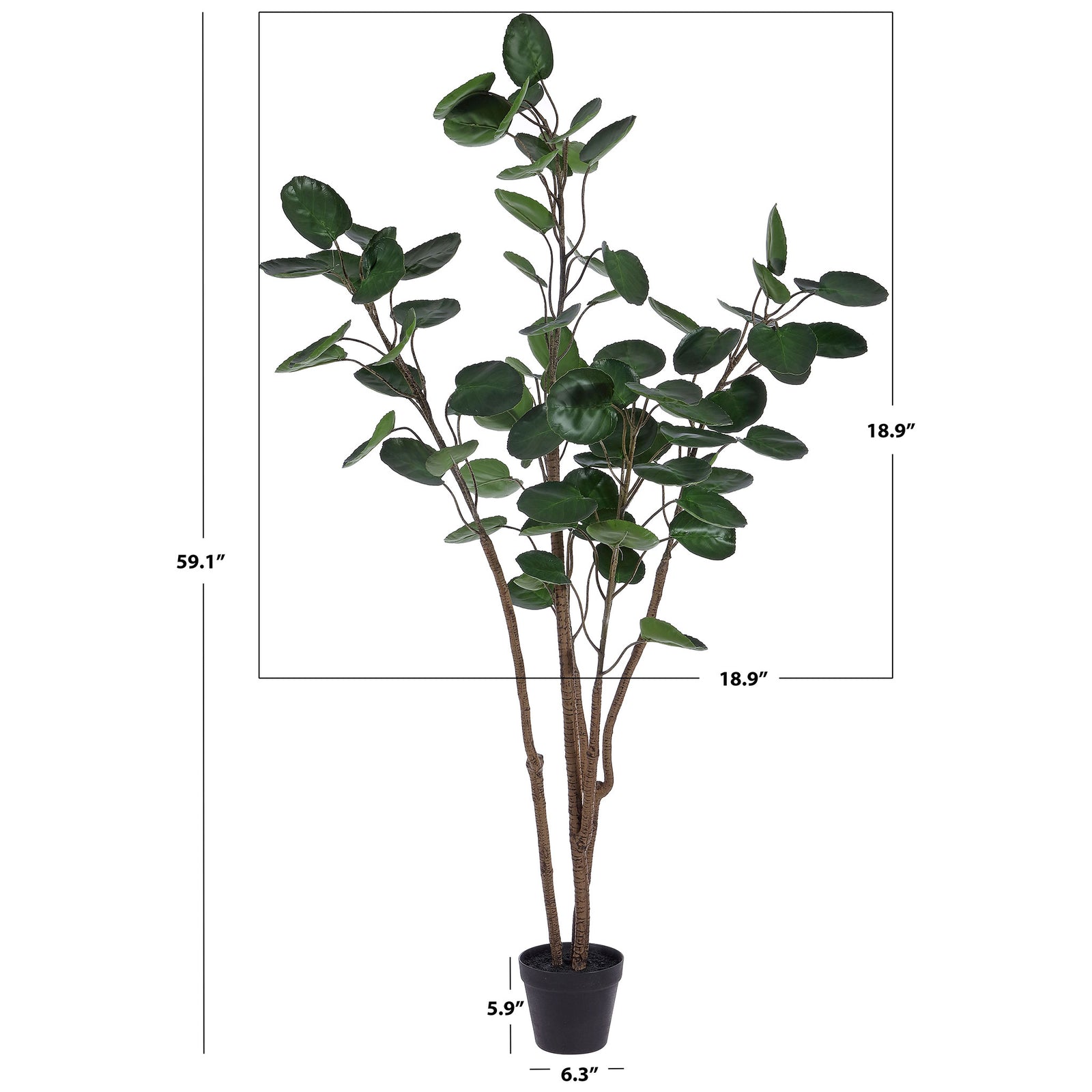 A branching potted tree stands about 59 inches tall. || FXP1003A || dimension_studio