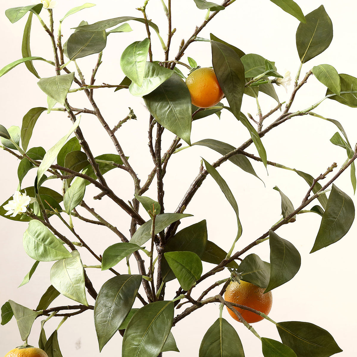 Small orange fruit peeks through leafy branches and pale blossoms. || FXP1004A || detail_studio