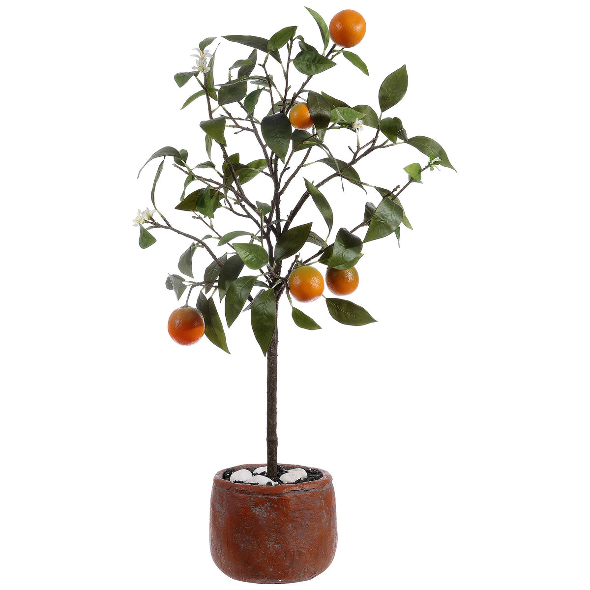 Orange fruit hangs from a leafy tree in a rustic terracotta-colored pot. || FXP1004A || front_studio