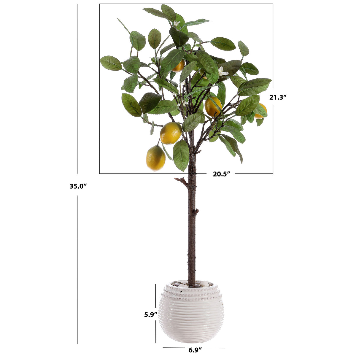 A potted lemon tree stands about 35 inches tall. || FXP1005A || dimension_studio