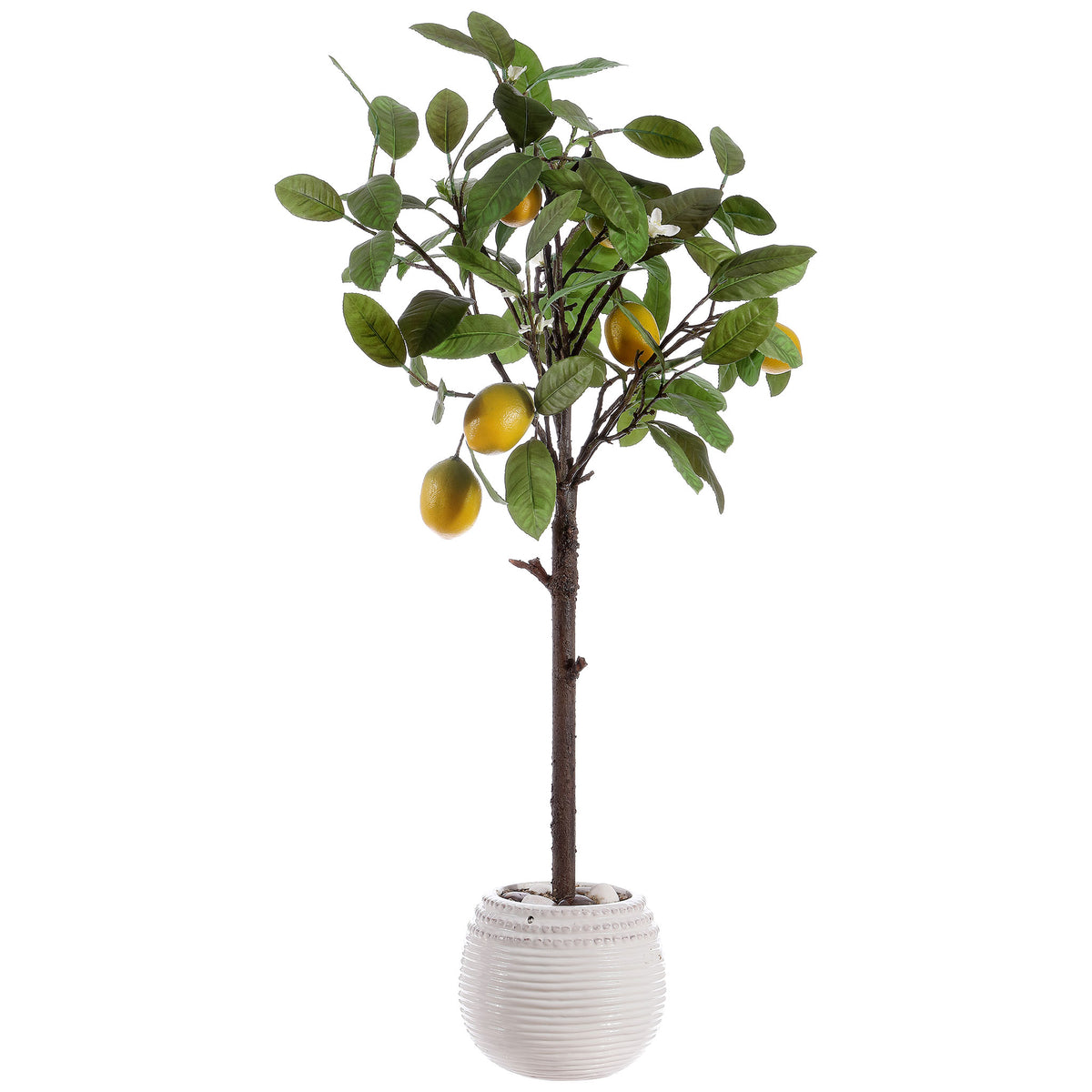 Yellow lemons dot a leafy tree in a ribbed white planter. || FXP1005A || front_studio