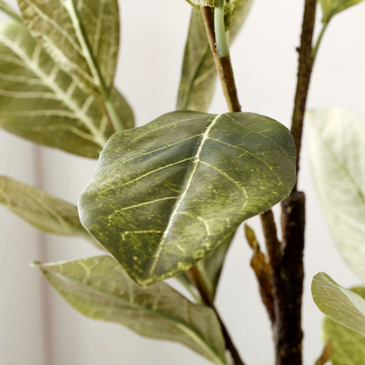 A broad magnolia leaf shows fine veining and natural-looking texture.