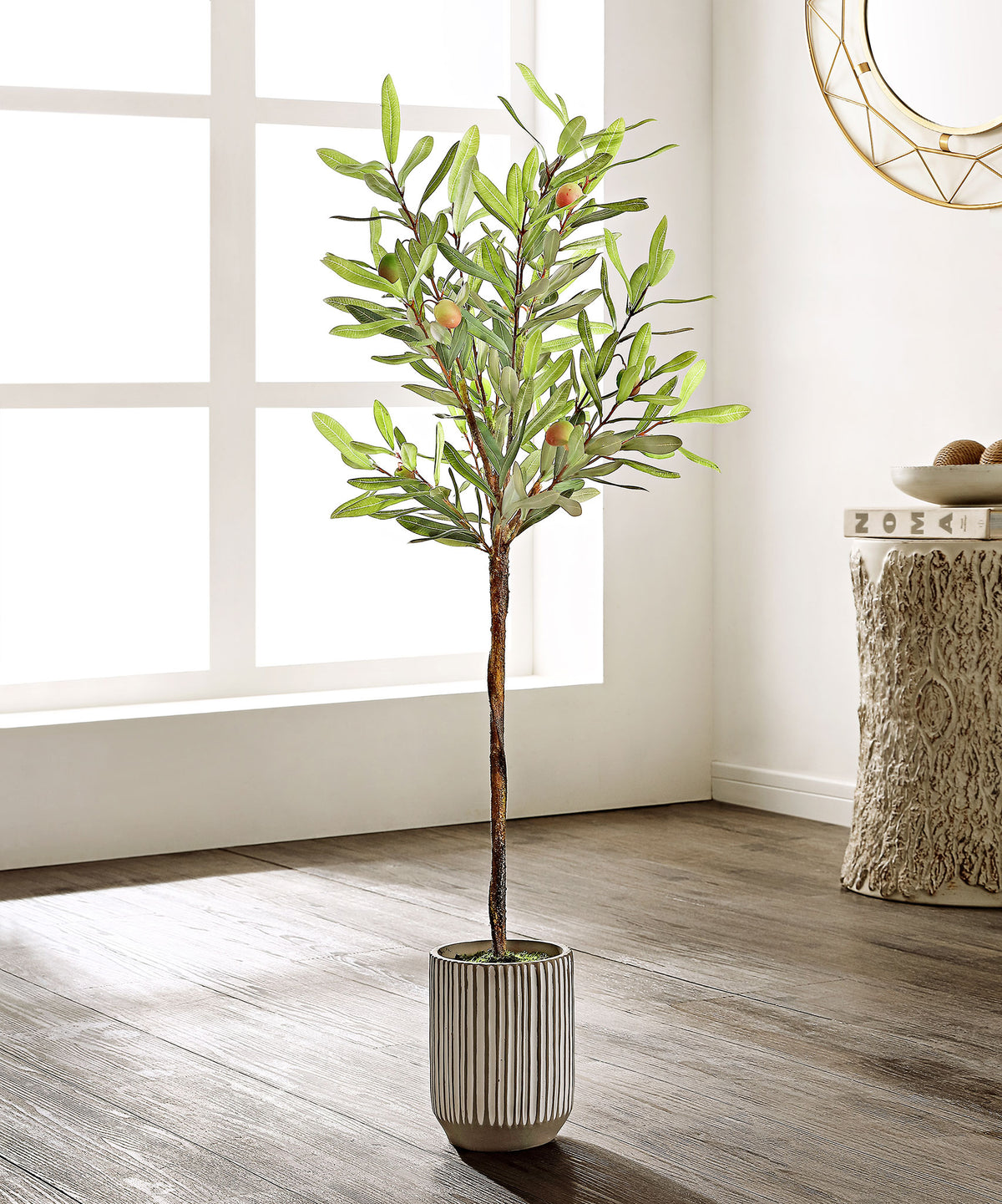 An airy olive tree adds a Mediterranean touch to a bright corner. || FXP1007A || front_room