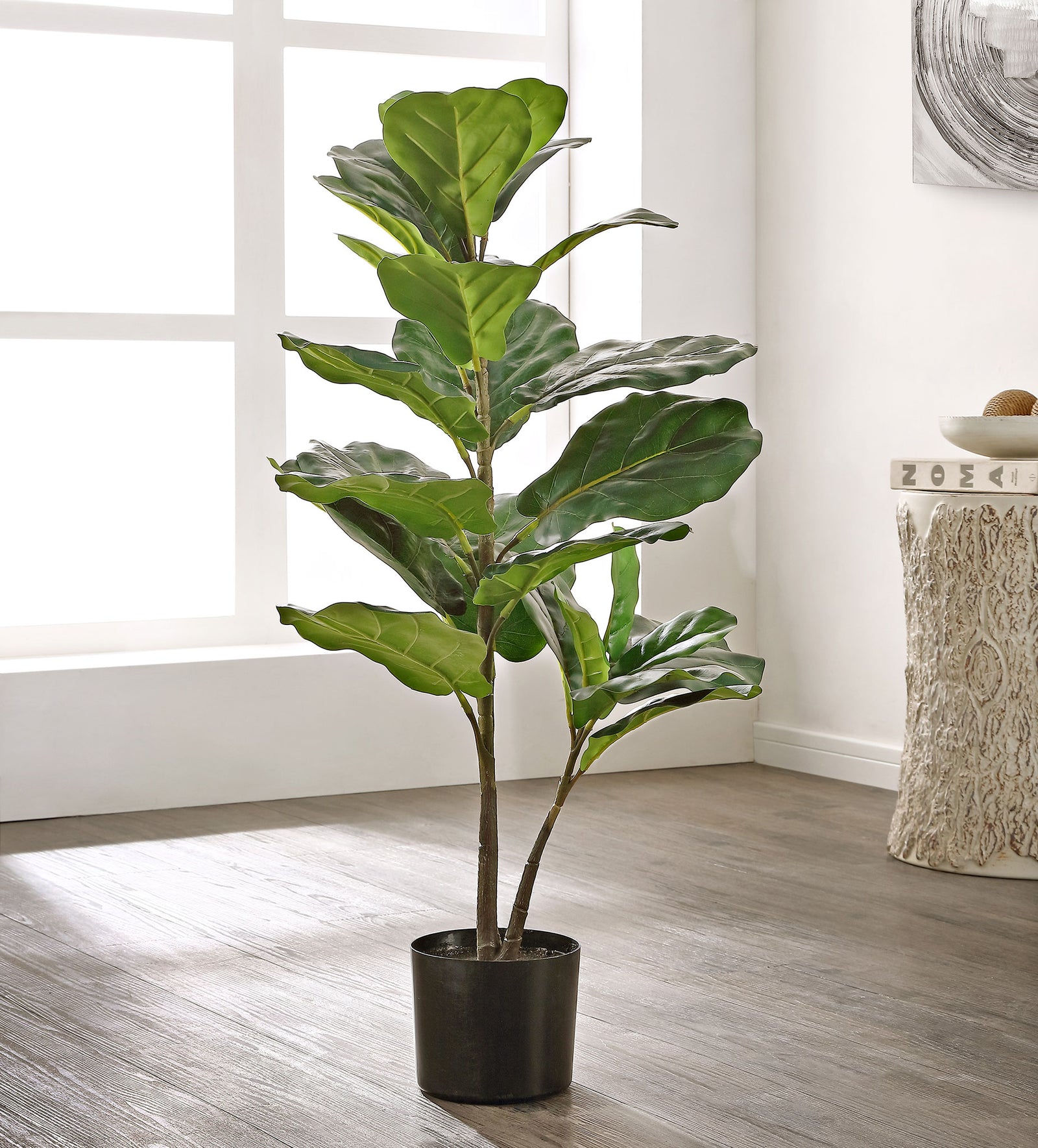 Lush fig leaves bring a tropical touch to a bright living space. || FXP1009A || front_room