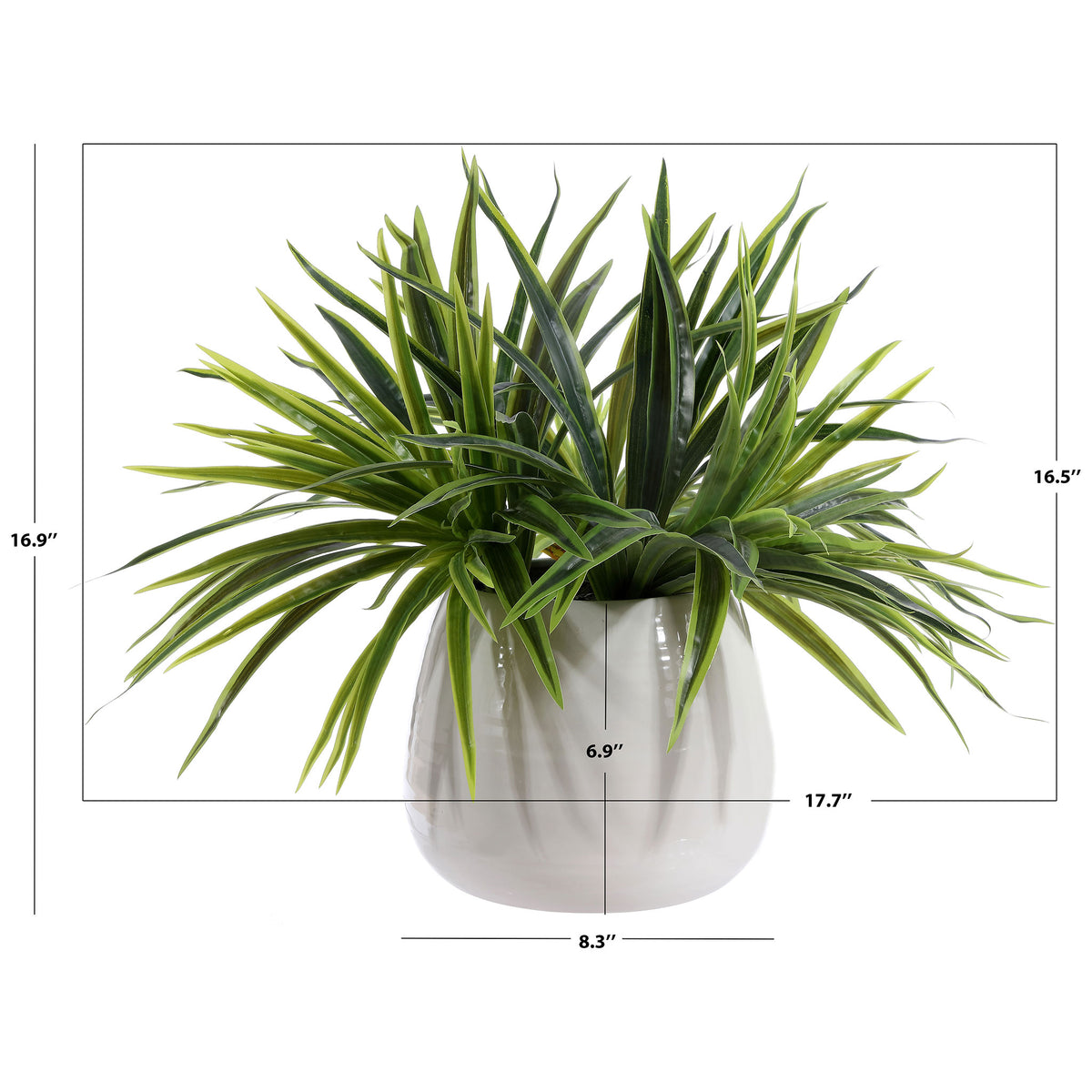 A leafy faux grass plant measures nearly 18 inches across. || FXP1012A || dimension_studio