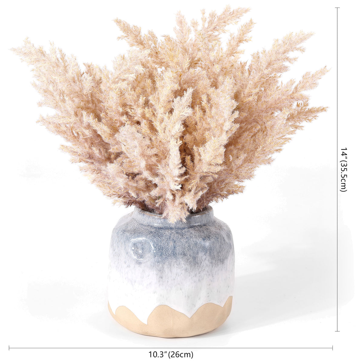 A potted broom corn arrangement stands about 14 inches tall. || FXP1019A || dimension_studio