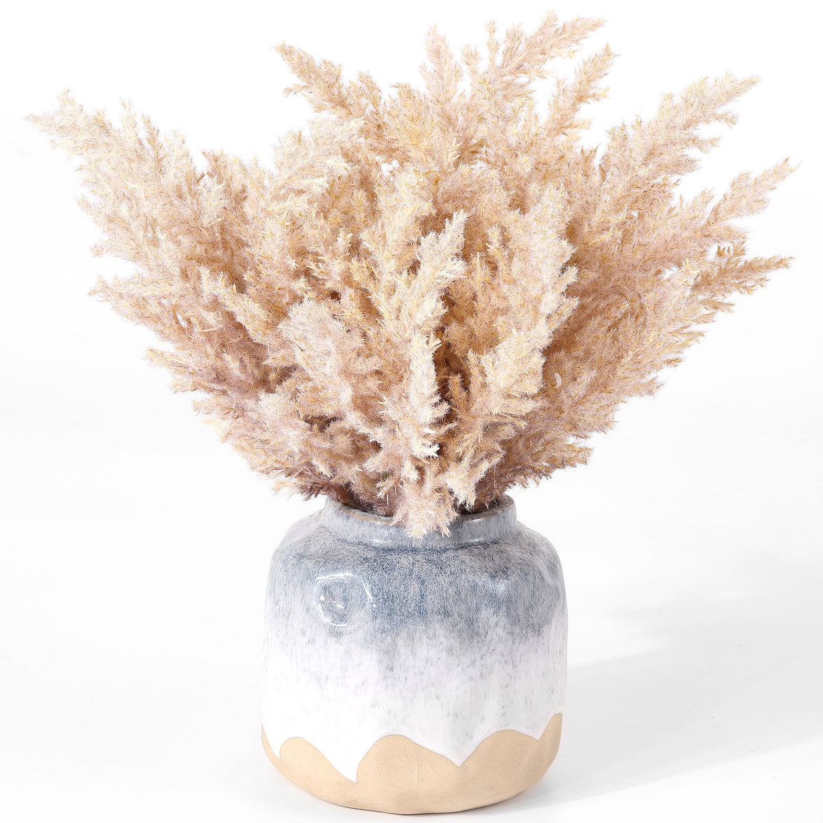 A cloud of pale broom corn foliage rises from a two-tone ceramic pot. || FXP1019A || front_studio