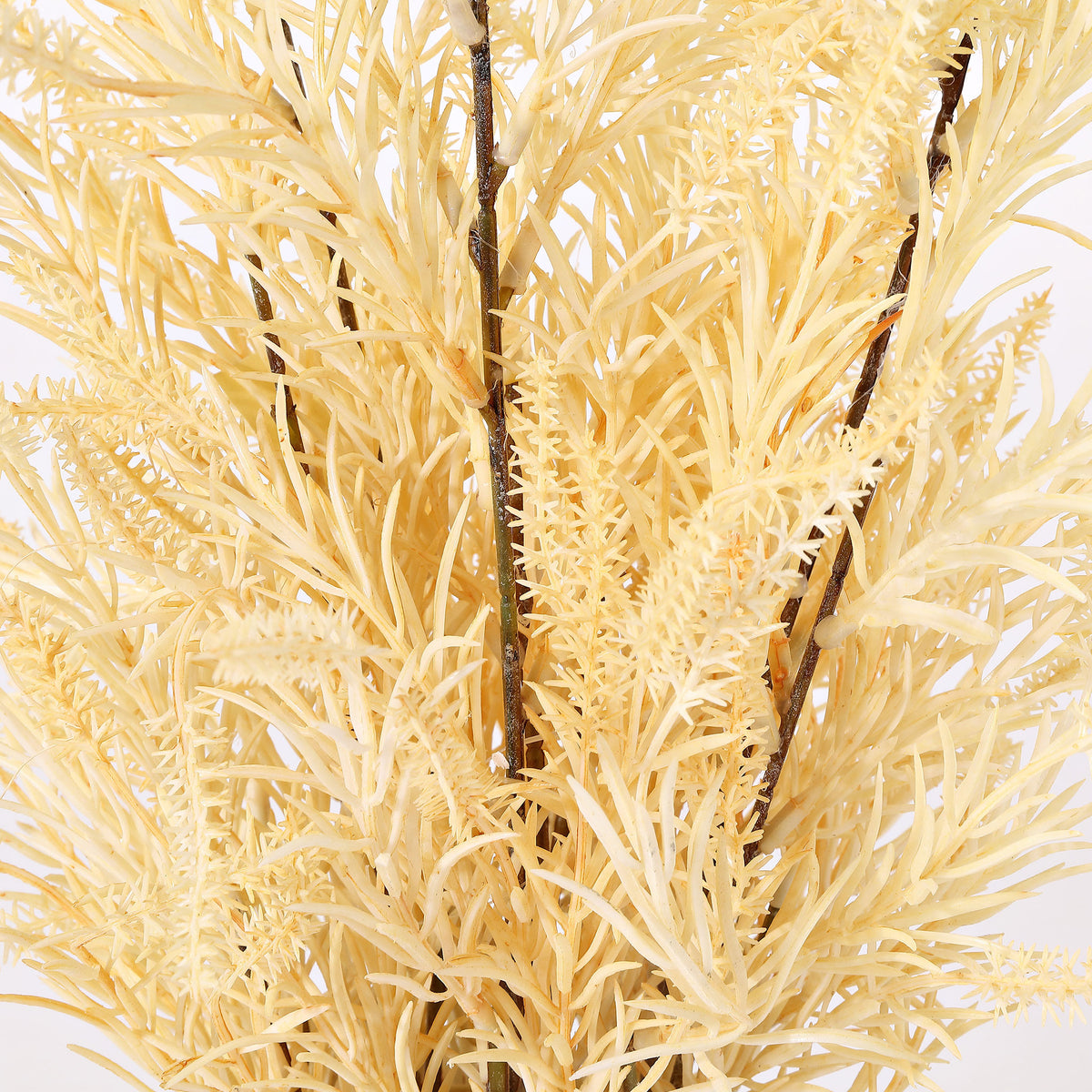 Pale yellow wheatlike stems create a feathery botanical texture. || FXP1020A || detail_studio