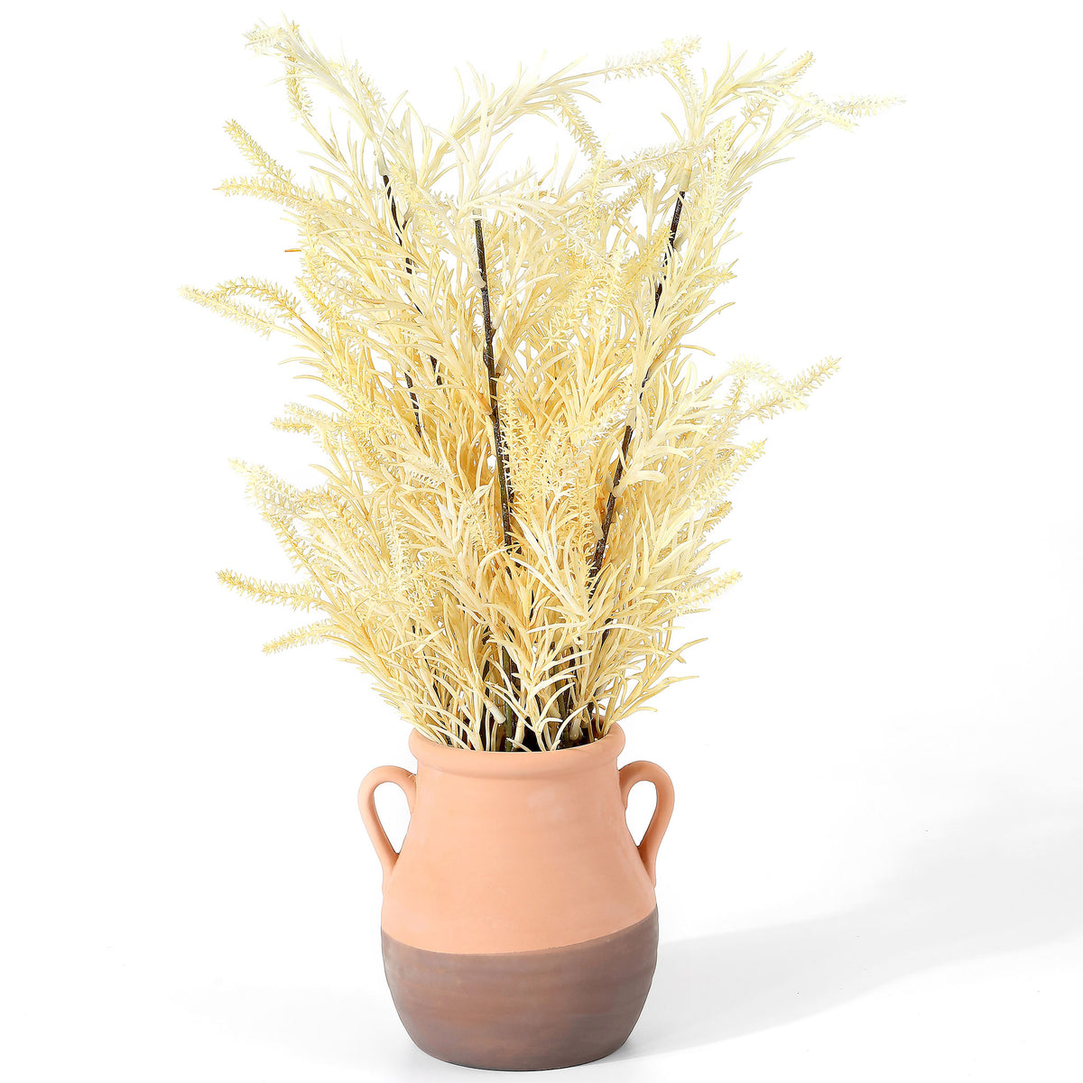 A spray of cream foliage rises from a warm terracotta-colored pot. || FXP1020A || front_studio