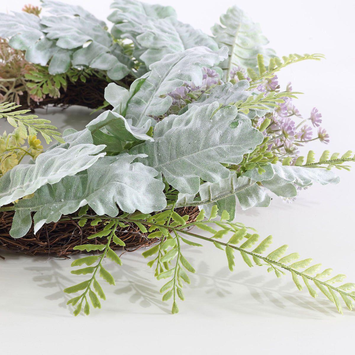 Dusty miller foliage layers soft silver-green color over fine greenery.