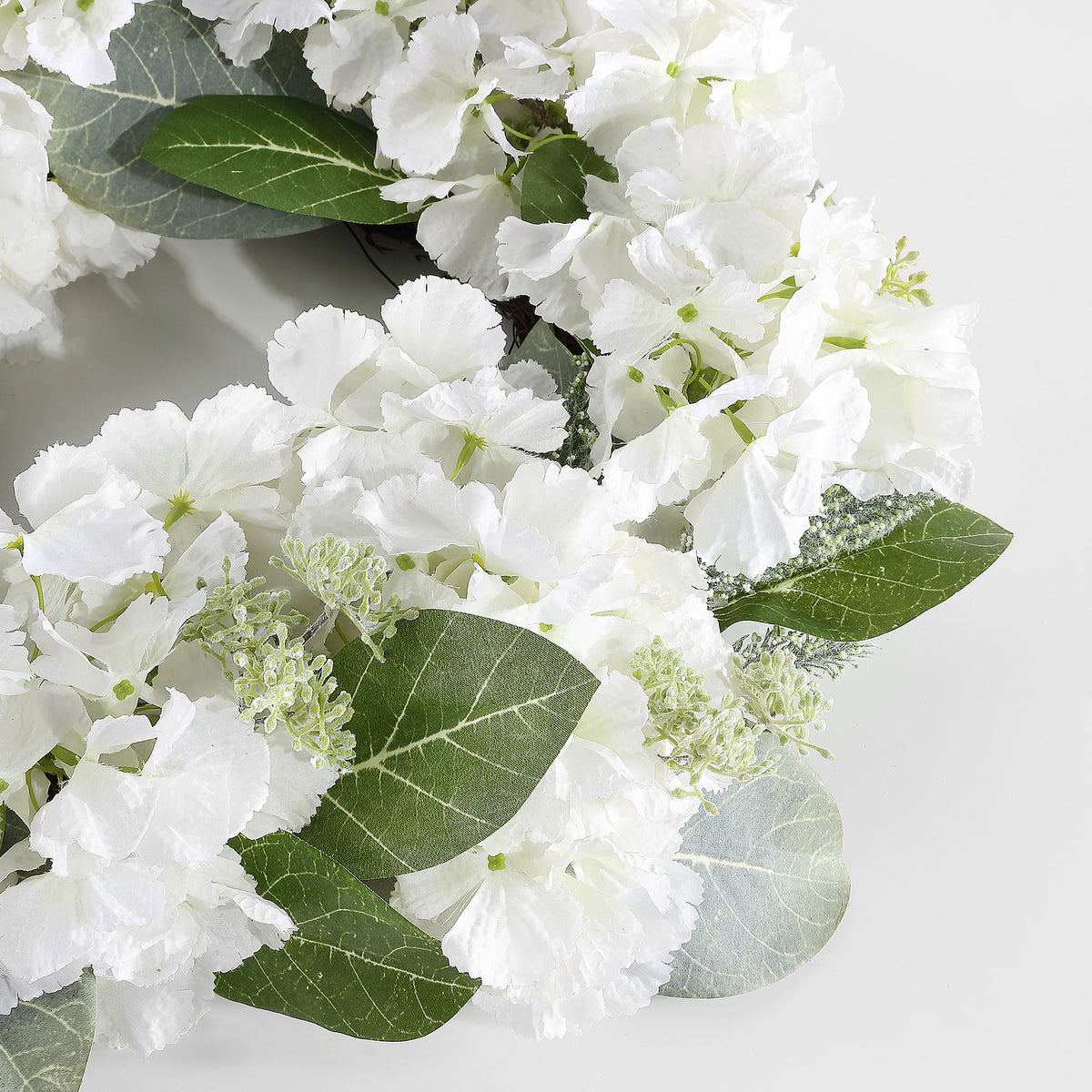 Layered hydrangea blossoms mingle with veined green leaves. || FXP1037A || detail_studio