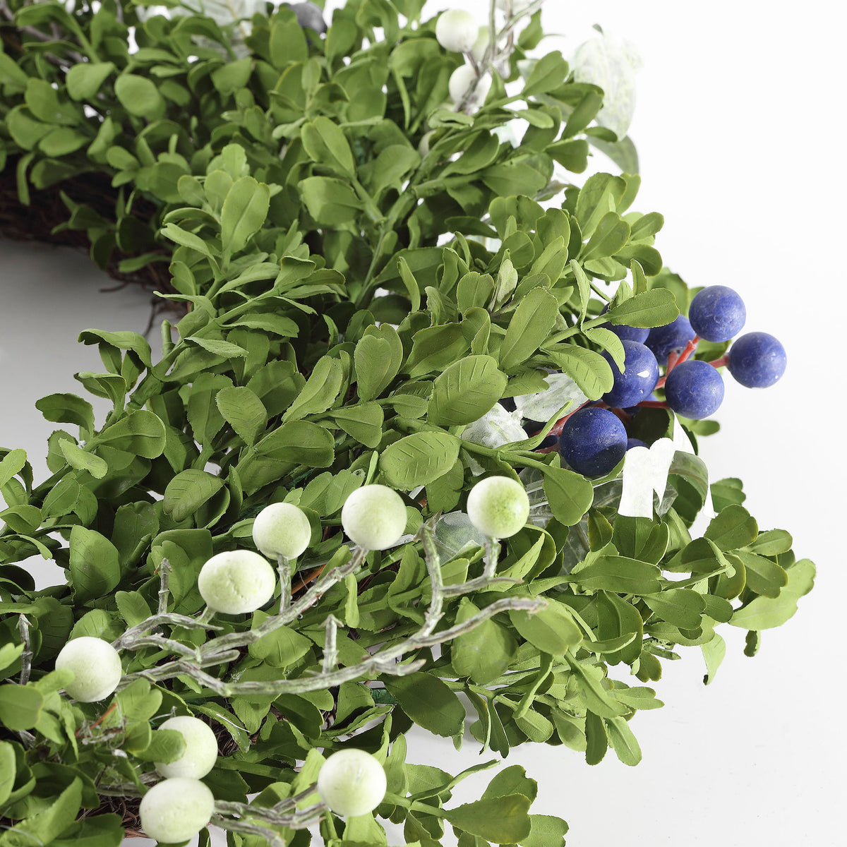 Clusters of blue and ivory berries weave through small green leaves.