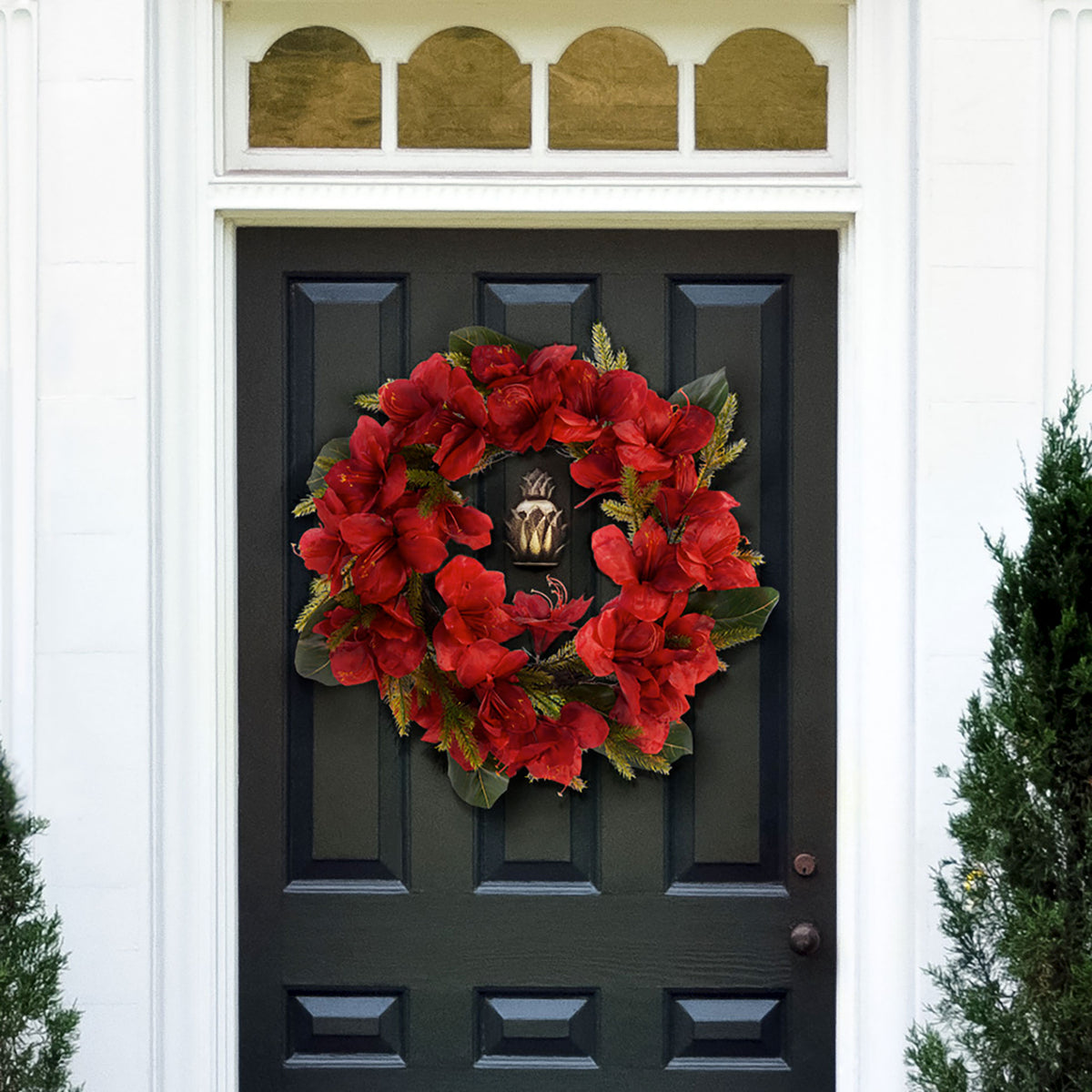 Crimson amaryllis blooms and green leaves bring festive color to an entryway. || FXP1091A || front_room