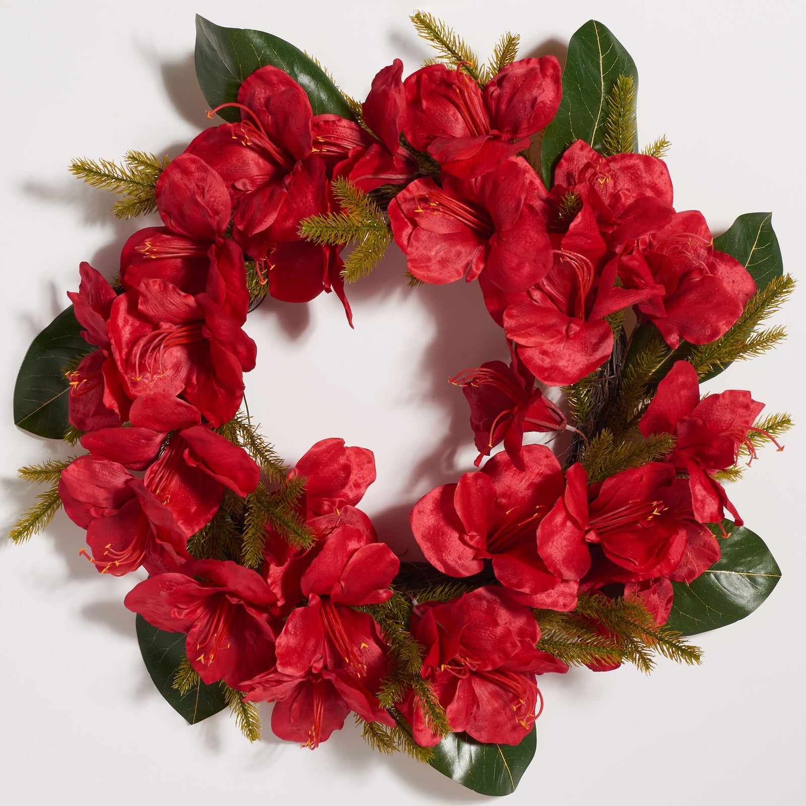 Rich red amaryllis blossoms fill a ring of deep green magnolia leaves. || FXP1091A || front_studio
