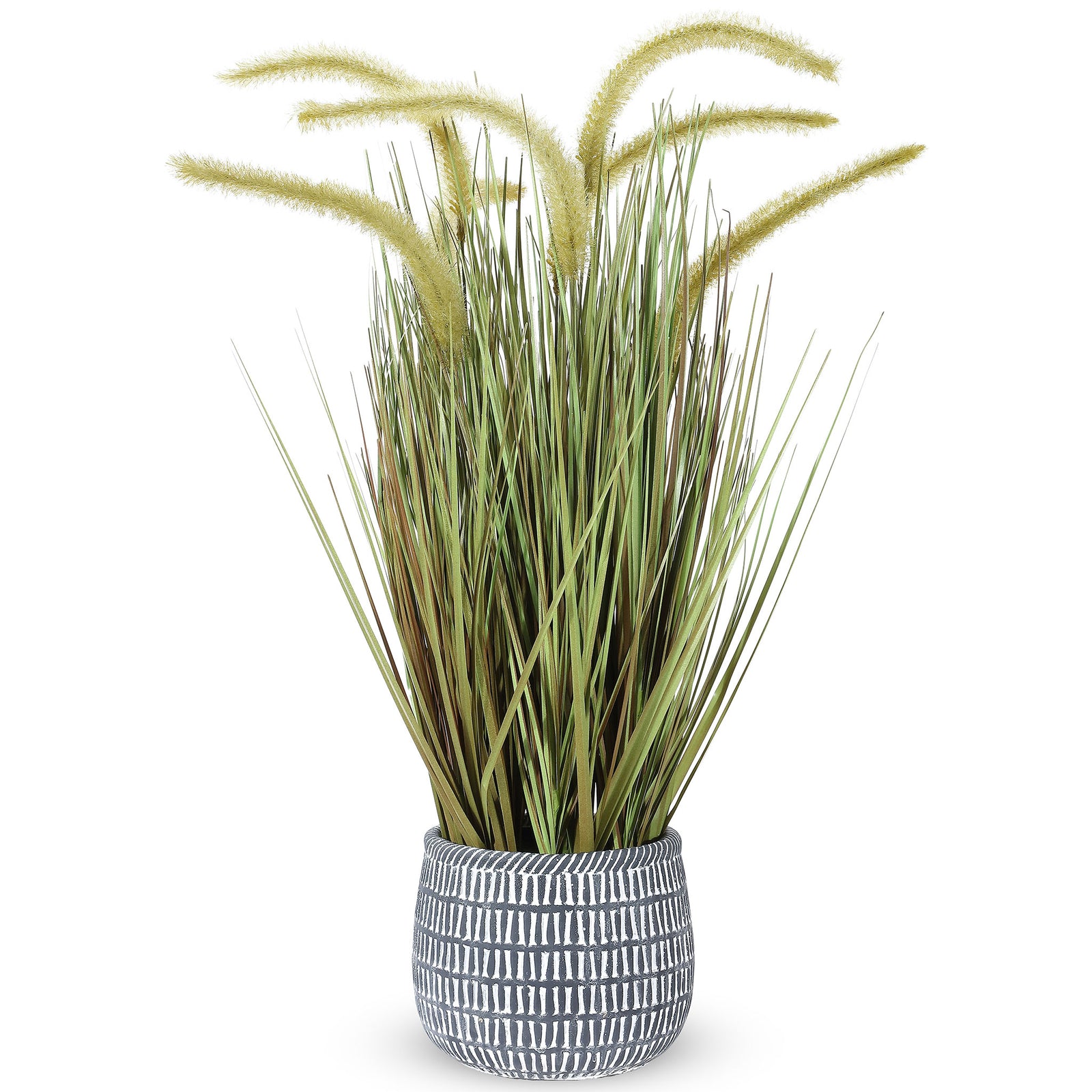 Green foxtail grass rises from a textured blue-and-white planter. || FXP2000A || front_studio