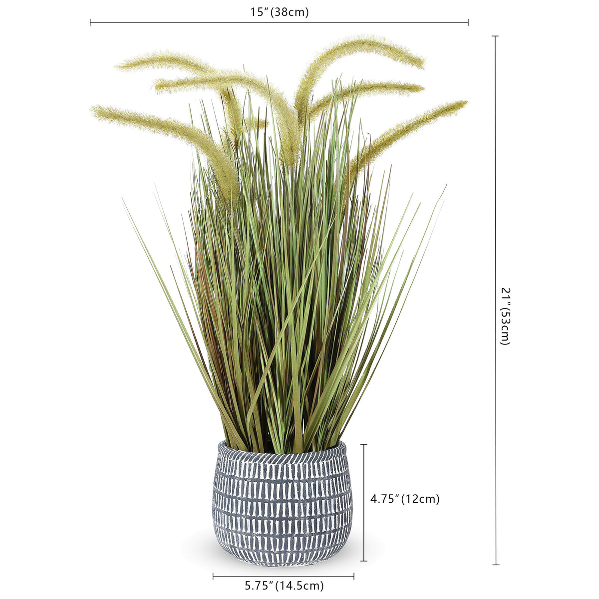 A potted foxtail grass arrangement stands 21 inches tall. || FXP2000A || dimension_studio