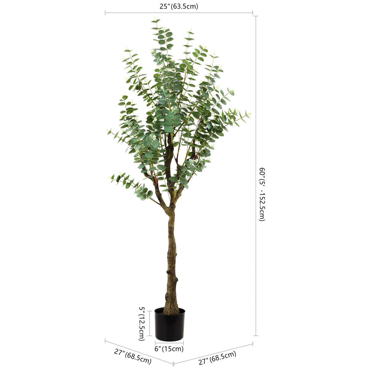 A potted eucalyptus tree stands about 60 inches tall. || FXP2001A || dimension_studio