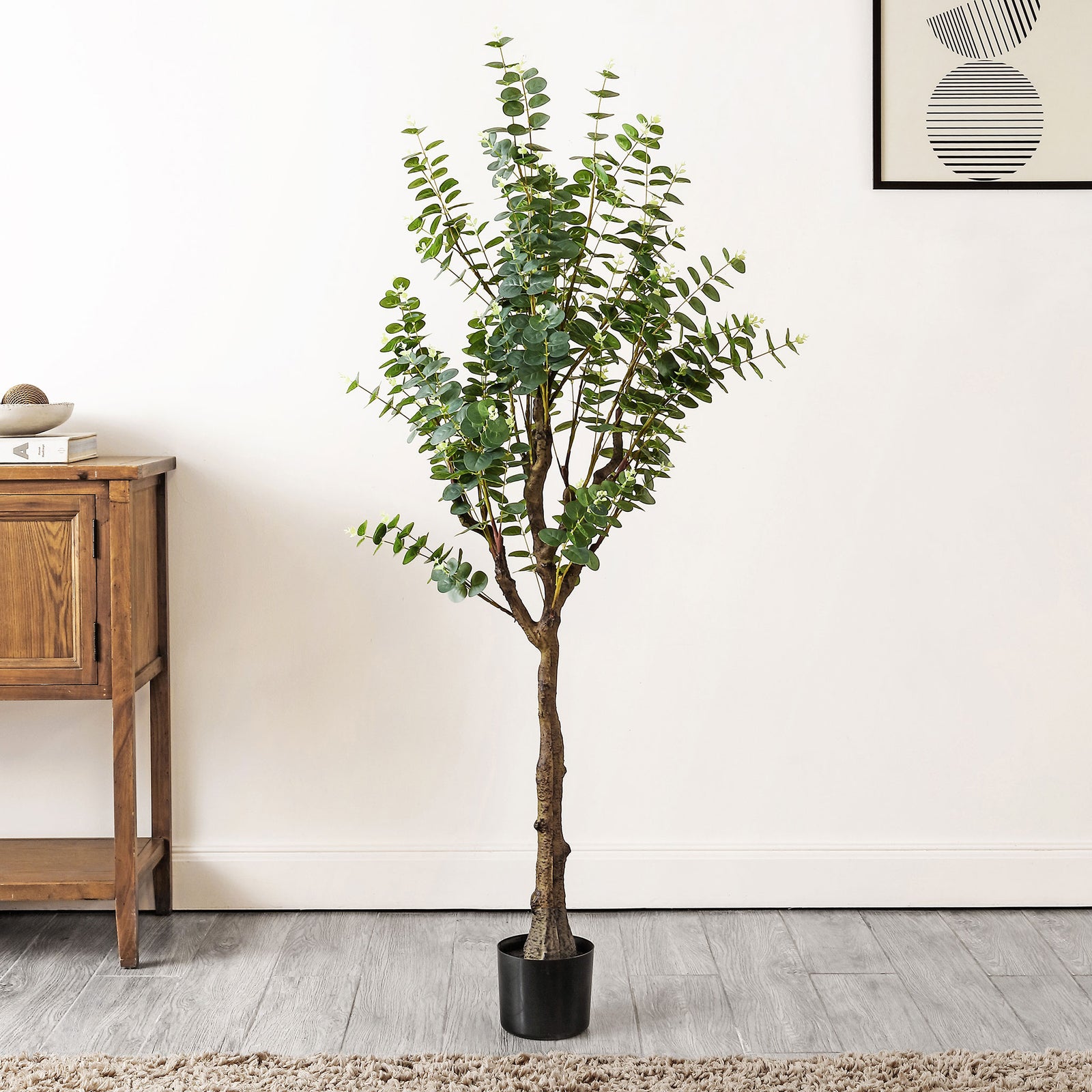 An airy eucalyptus tree adds soft green color beside a wooden cabinet. || FXP2001A || front_room