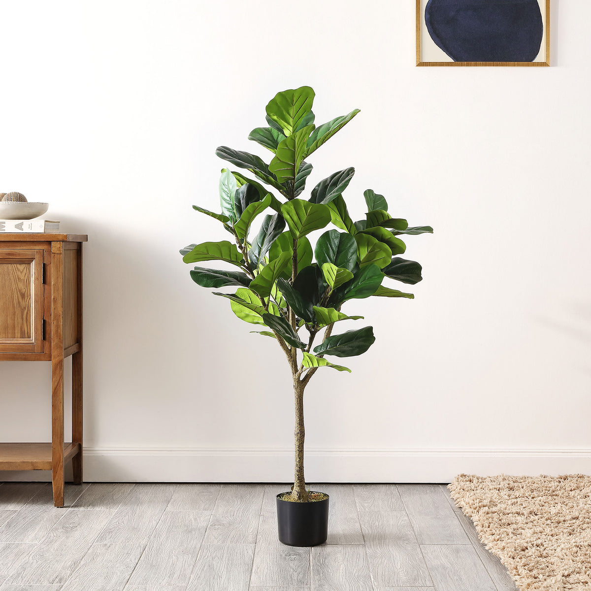 A compact fiddle-leaf fig tree livens a bright room with greenery. || FXP2002A || front_room