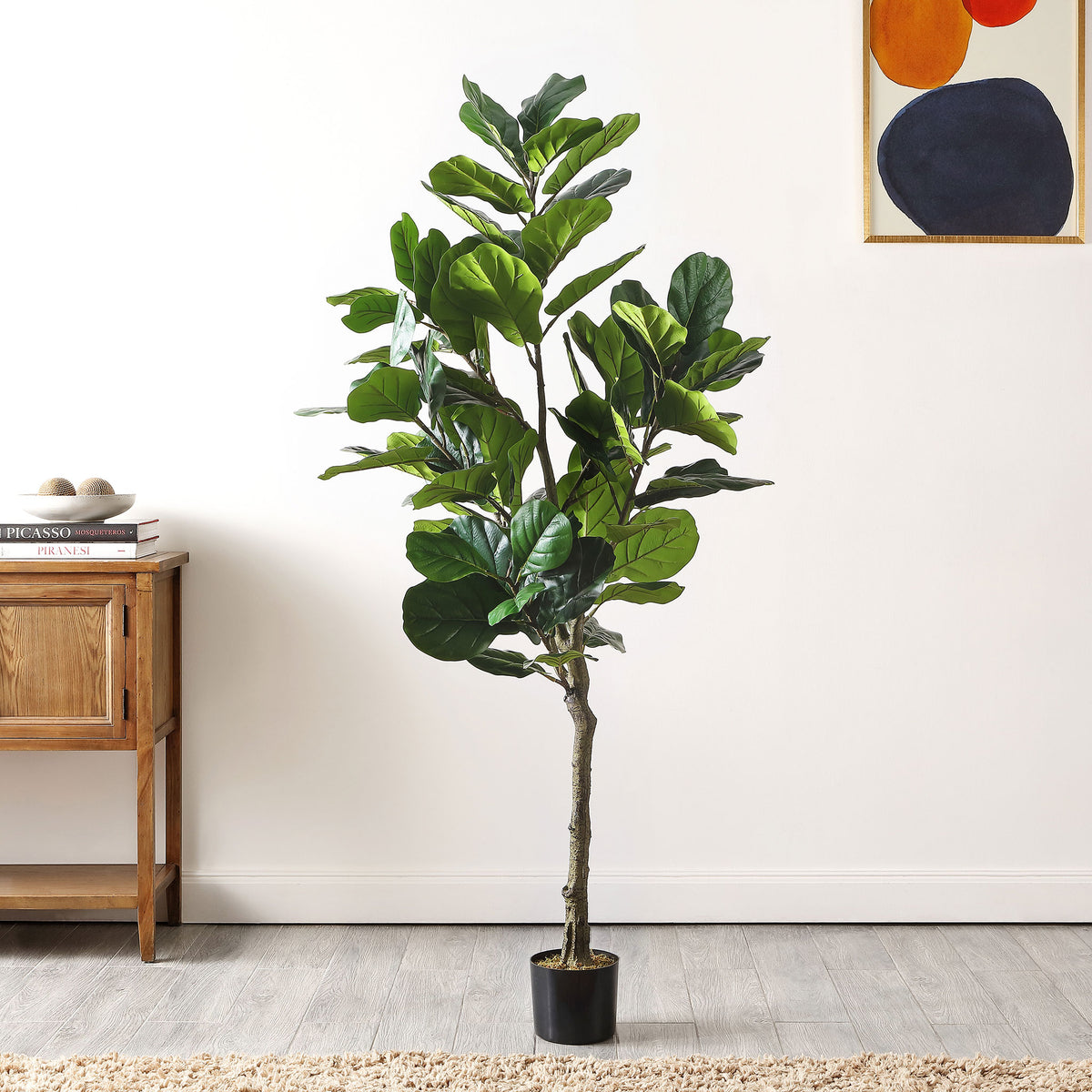 A leafy fig tree adds a natural focal point beside a wood cabinet. || FXP2003A || front_room