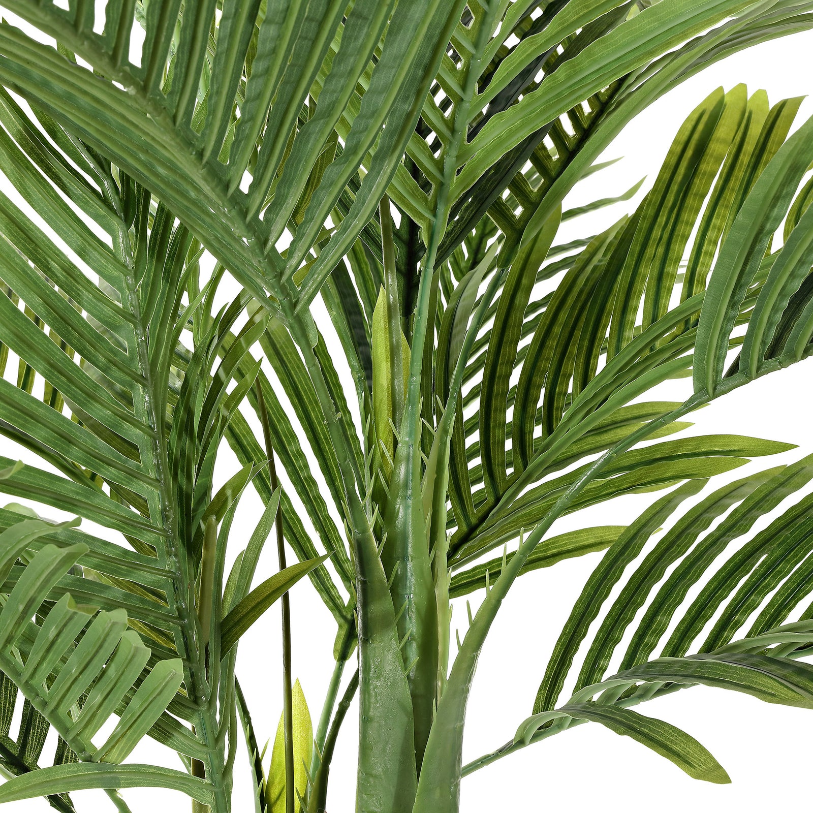 Layered palm fronds fan out from multiple upright stems. || FXP2006A || detail_studio