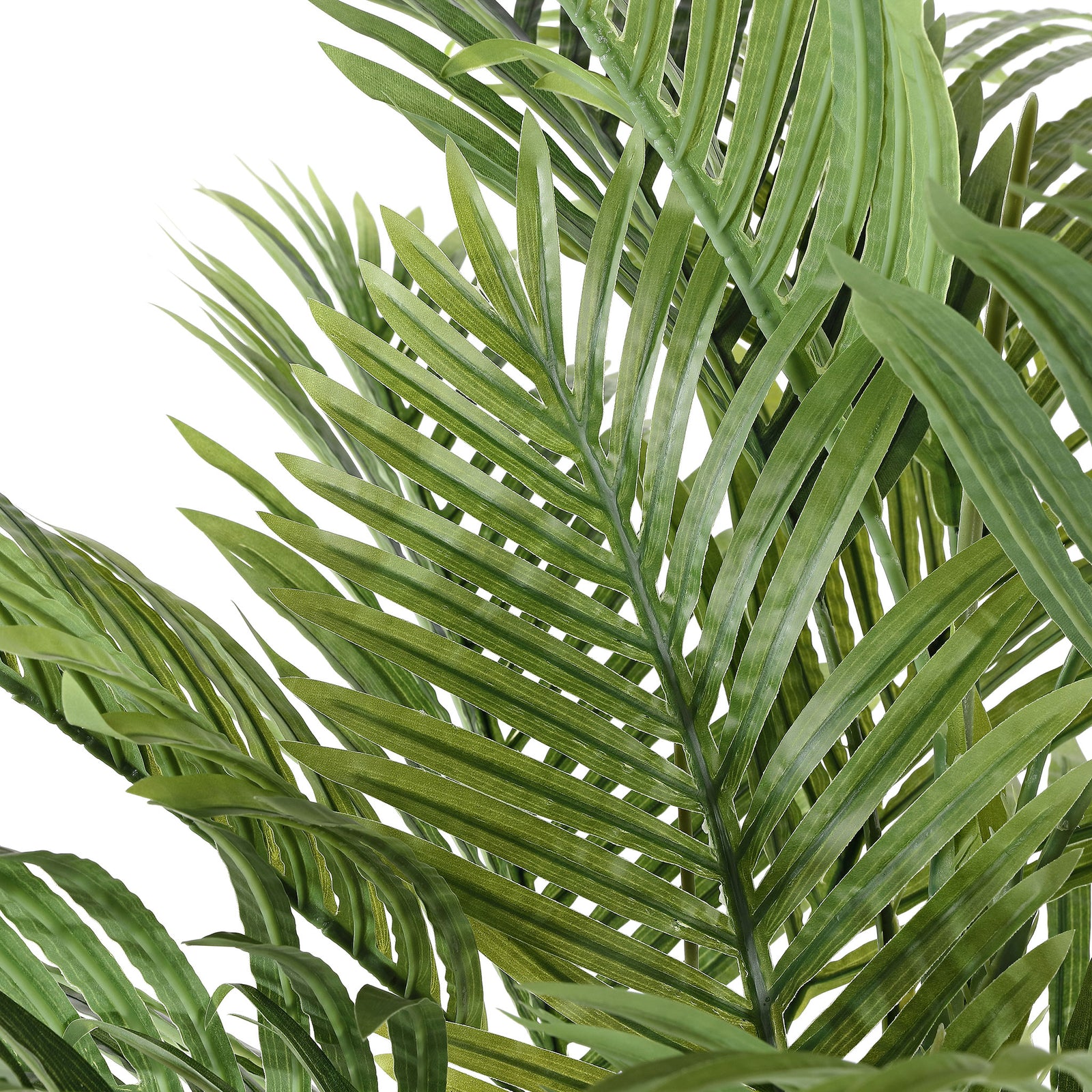 Slender green palm leaflets create a light tropical texture. || FXP2006A || detail_studio