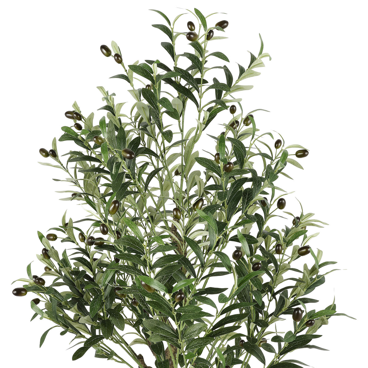 Dark faux olives dot a dense canopy of narrow green leaves. || FXP2007A || detail_studio