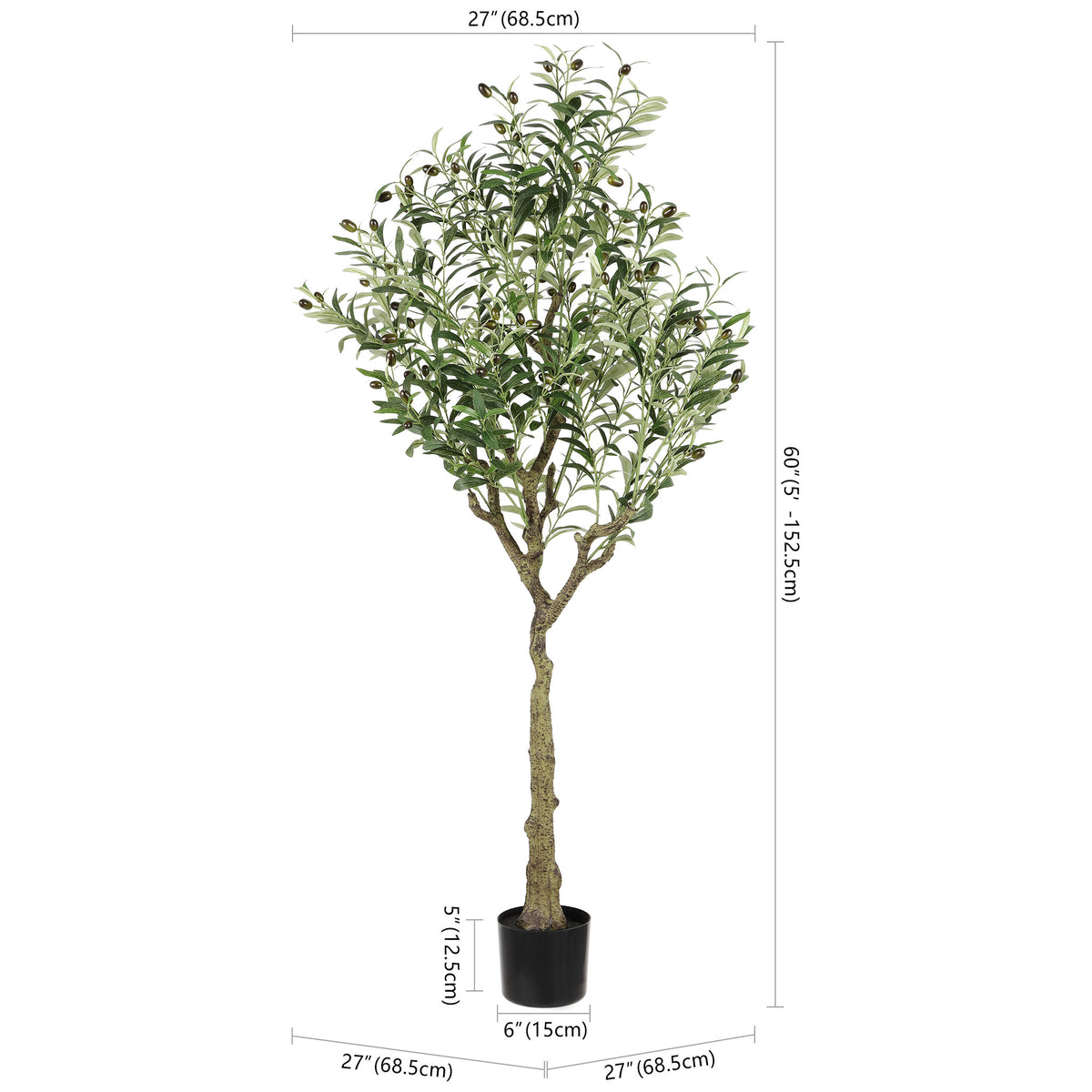 A potted olive tree stands 60 inches tall with a 27-inch spread. || FXP2007A || dimension_studio