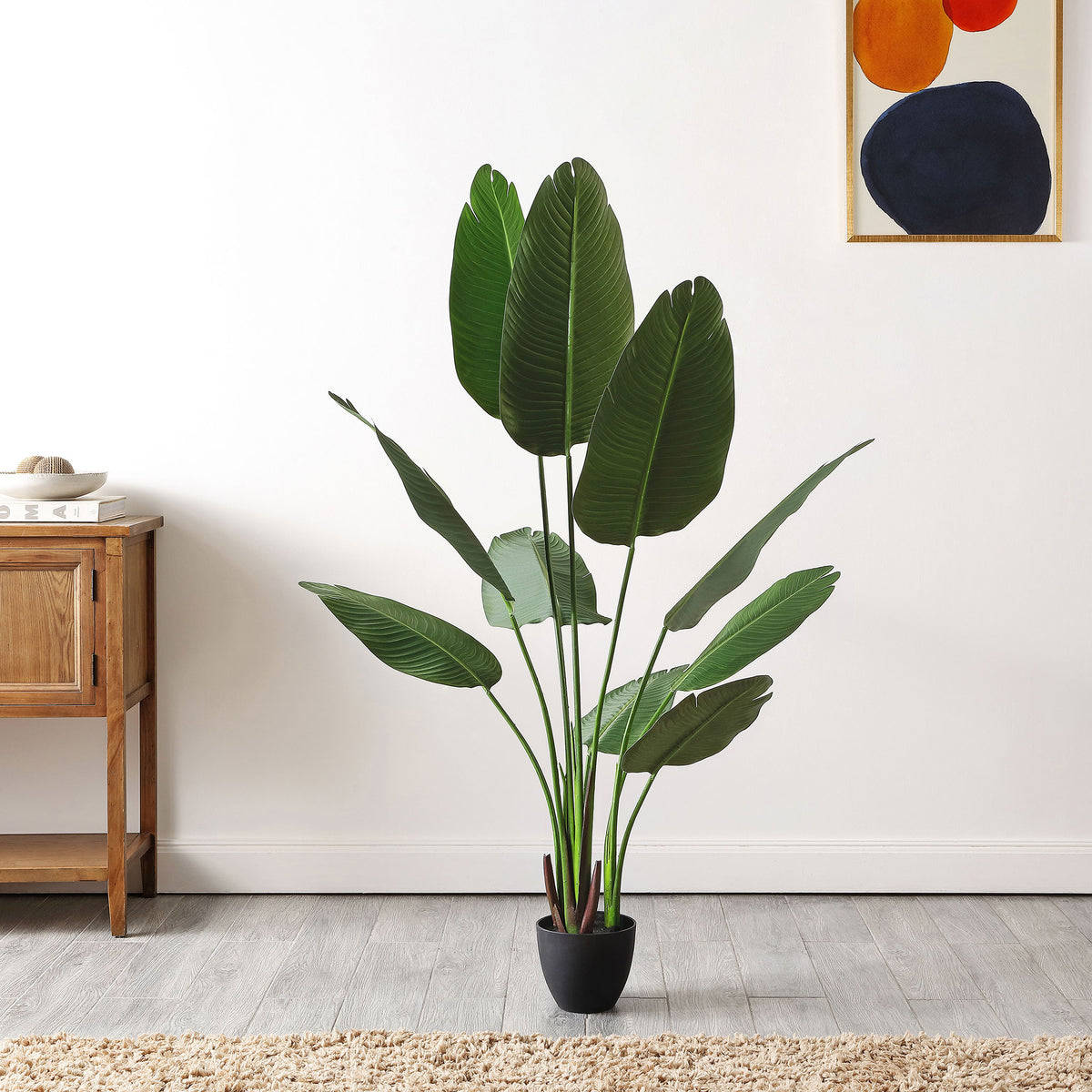 Upright tropical leaves lend sculptural greenery to a living space. || FXP2008A || front_room