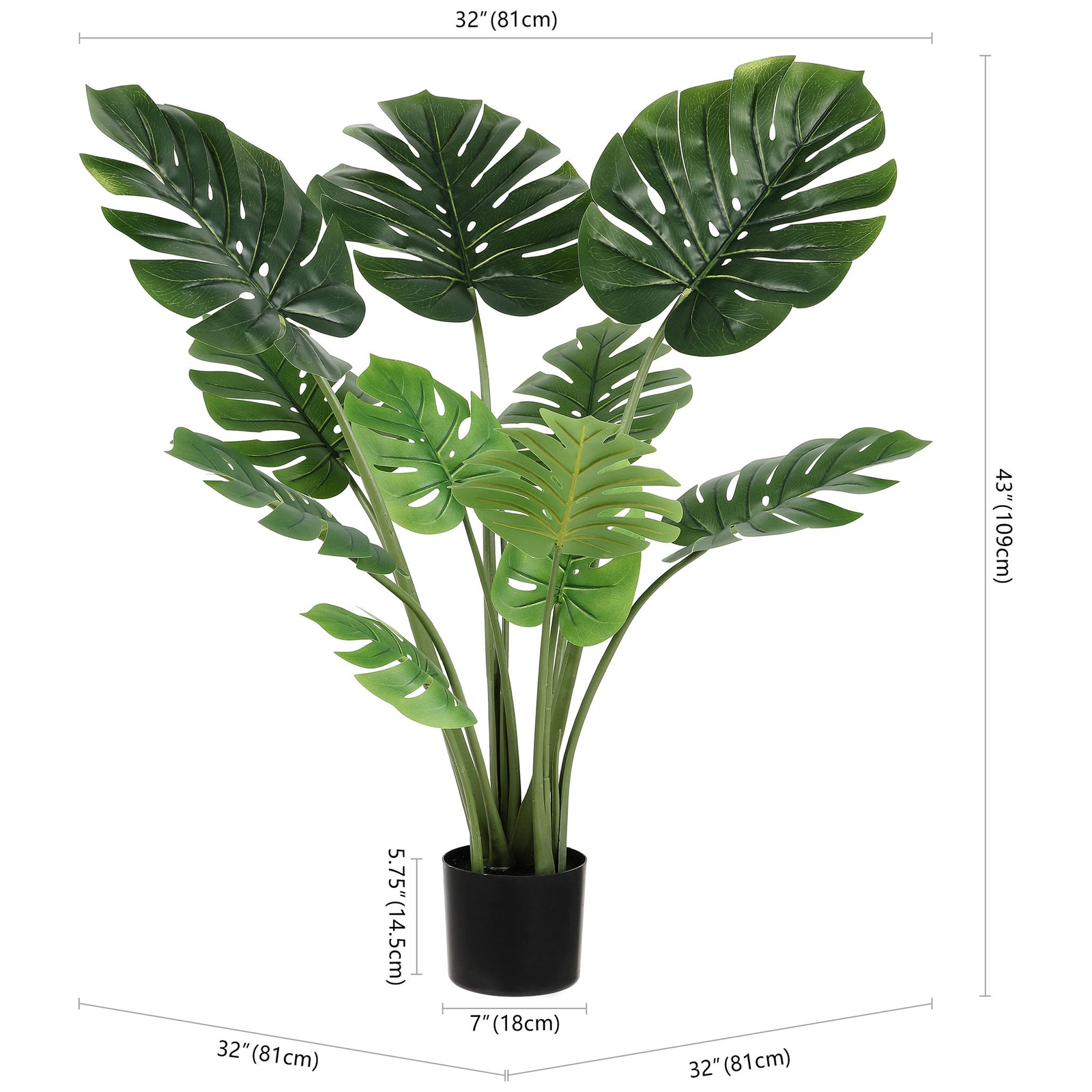 A potted monstera plant stands 43 inches tall with a wide spread. || FXP2010A || dimension_studio