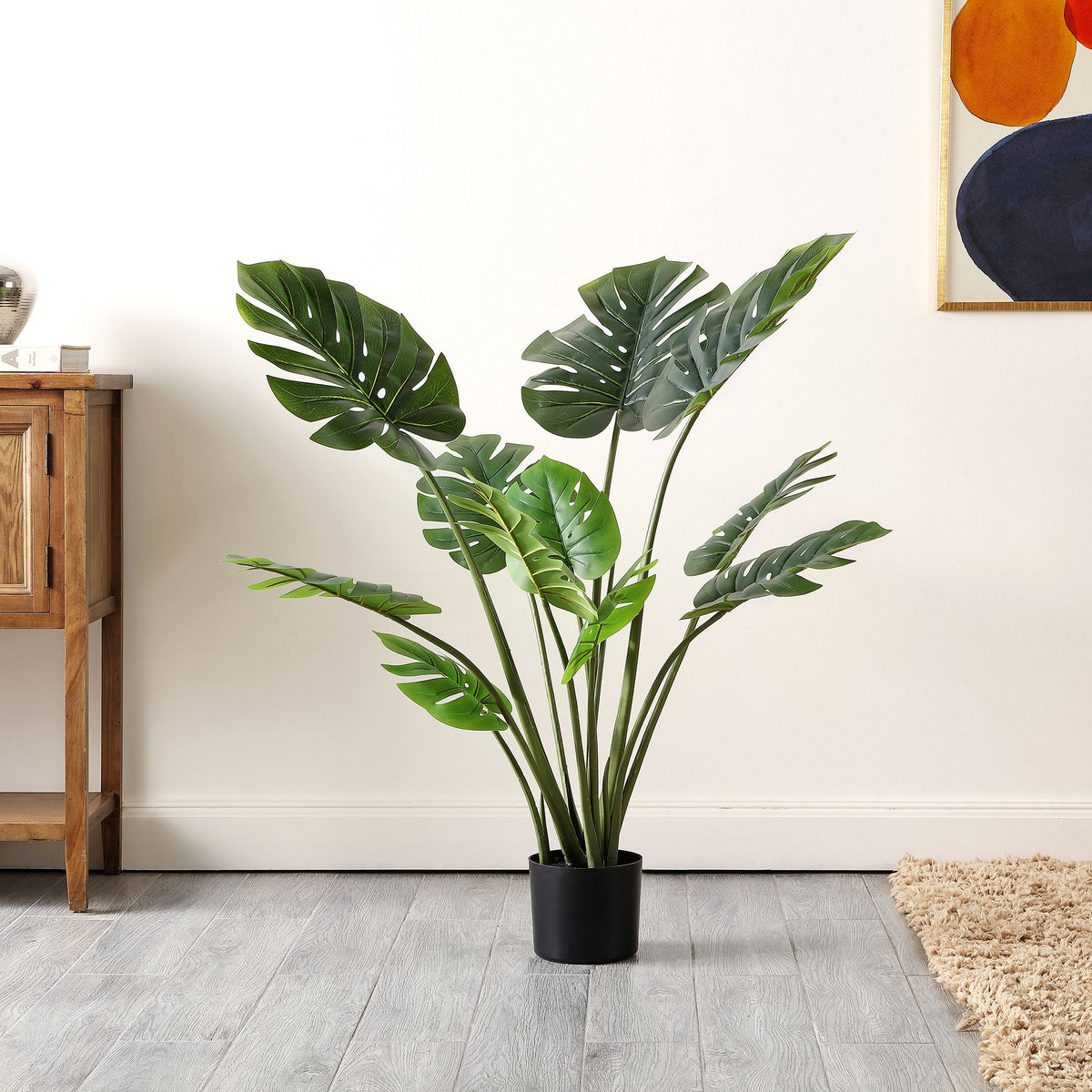 A sculptural monstera plant brings tropical greenery to a bright room.
